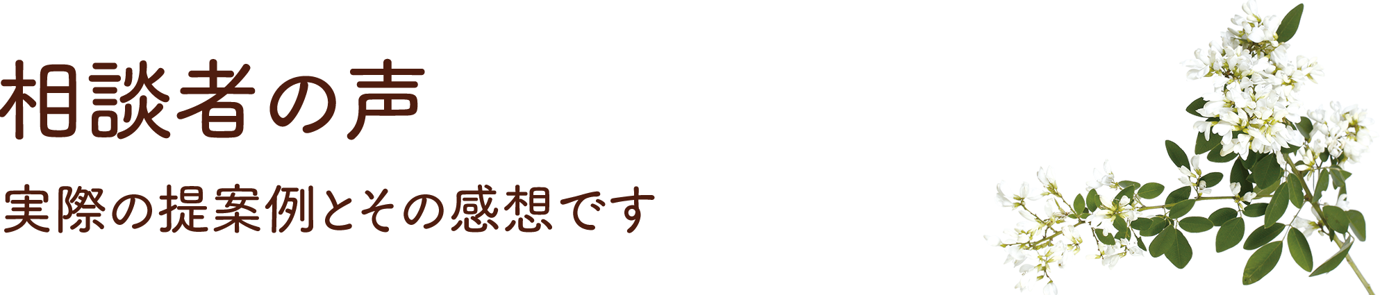 相談者の声